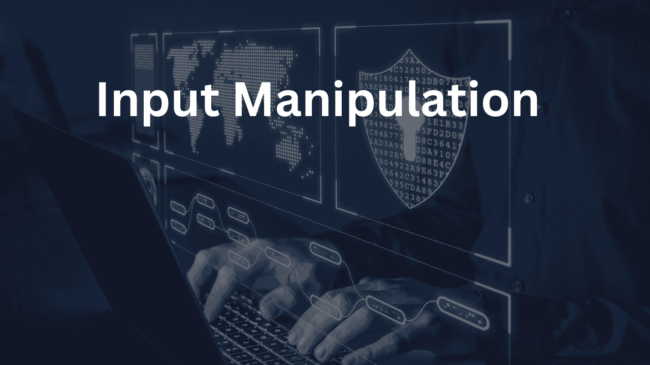 Input Manipulation Attacks